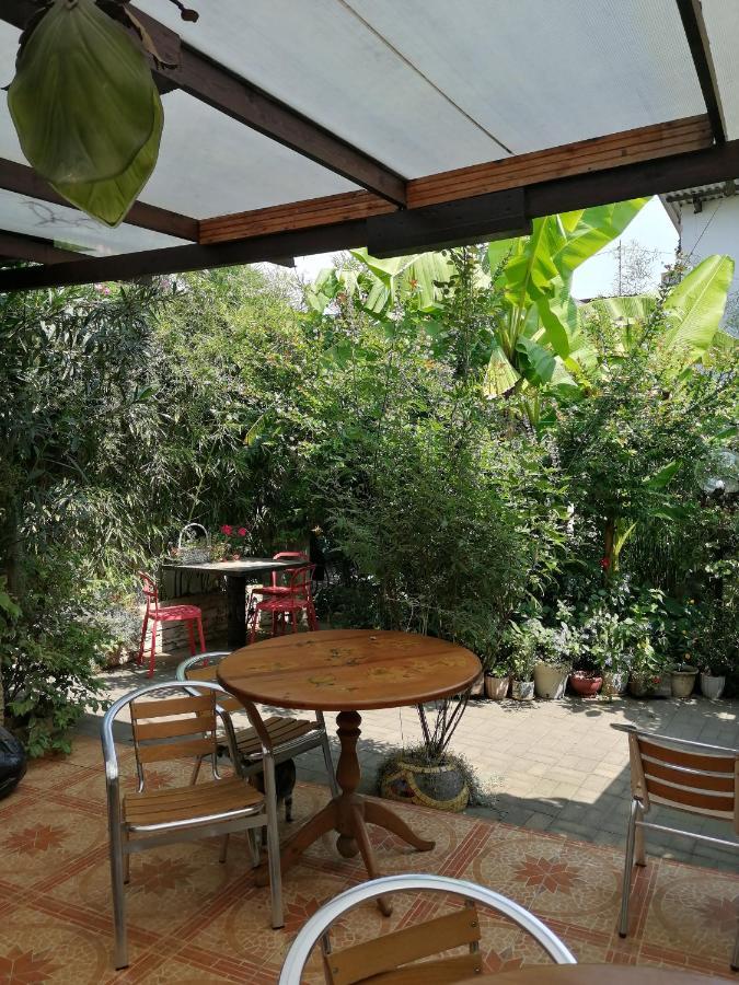 מלון סוקהום Magnoliia מראה חיצוני תמונה