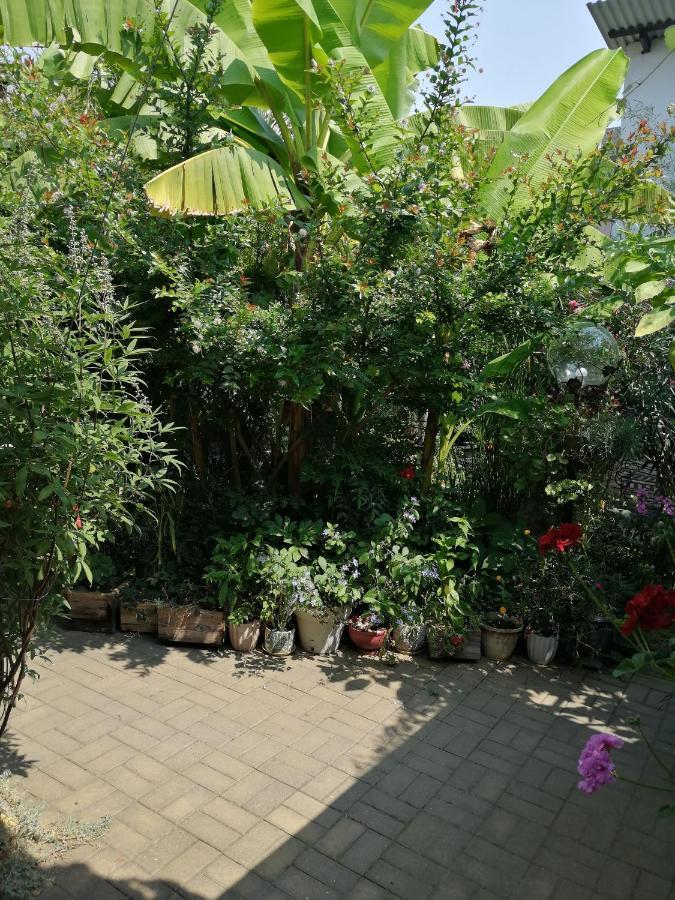 מלון סוקהום Magnoliia מראה חיצוני תמונה