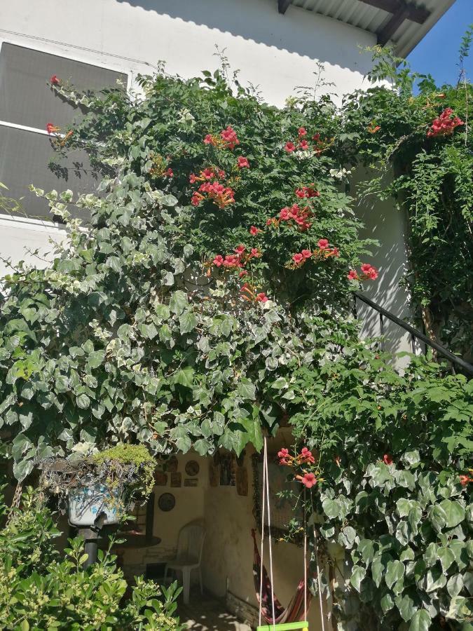 מלון סוקהום Magnoliia מראה חיצוני תמונה